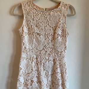 Ann Taylor LOFT Lace Dress